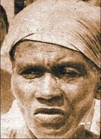 mama-tingo